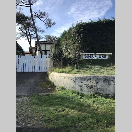 Maison A 300M De La Plage, Quartier Calme Mimizan-Plage Buitenkant foto