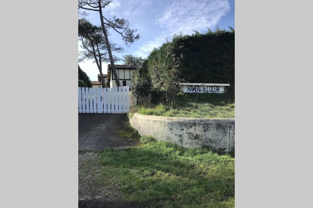 Maison A 300M De La Plage, Quartier Calme Mimizan-Plage Buitenkant foto